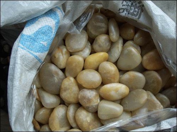 product-600-450
